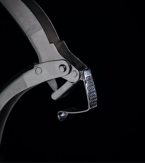 Double Lever Assisted Stainless Steel Garlic Press